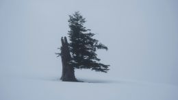 Use the Power of Conscious Persistence to Purify and Strengthen Your Faith