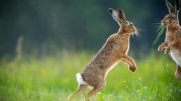 Student Talks on "An Unthinkable Lesson in How to Liberate Yourself from Useless Suffering" (9/6/24)