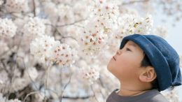 Student Talks on "Free Yourself from Anxious Thoughts and Feelings with One Supreme Action" (10/4/24)