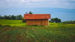 Transform Old Painful Reactions into New Healing Powers