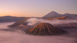 Four Simple Lessons in Unconditional Love