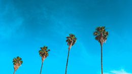 Four Words to Free You From Any Painful Relationship with Life