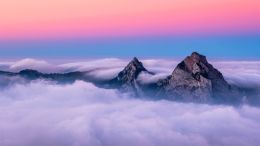 Discover the Kingdom of Peace Hidden in Any Painful Moment