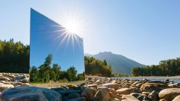 Welcome this Shocking Revelation and Set Yourself Free