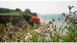 Use Your Life As a Workshop in Self-Awakening