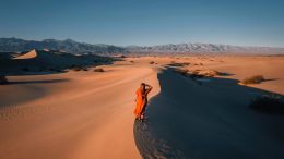 A Whole New Order of Self-Understanding