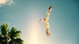 The Wisdom to Make Painful Moments Vanish into Thin Air