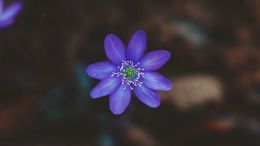 Student Q&A with Guy on "Drop This One Bad Habit and Discover a Life without Fear!" (3/14/21)