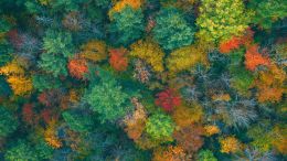 The Presence and Power of an Interior Stillness