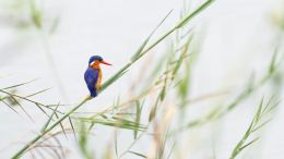 Online Study Group Meeting for Monday (12/5/2022)