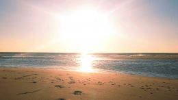 Student Q&A with Guy on "Go Beyond Painful Limitation to Realize Fearless Being" (6/30/21)