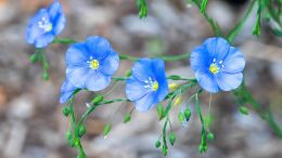 You Already Have Everything You Need