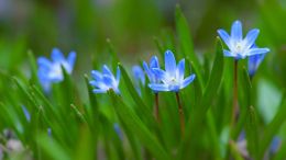 Student Talks on "Save Years of Useless Struggle with One Unthinkable Insight" (8/9/24)