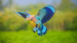 Student Talks on "Realize the Missing Half of Your True Self and Be Set Free" (5/5/23)