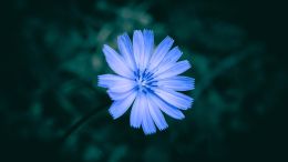 The Innate Need for Greatness