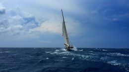 Real Life is the Expression of Living Intelligent Forces