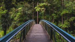 Build the Foundation of a Fearless Life