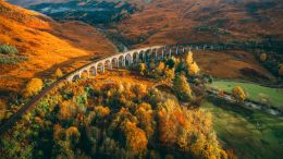 The Faith to Be Free, the Freedom to Be Faithful