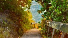 Online Study Group Meeting for Monday (12/12/2022)