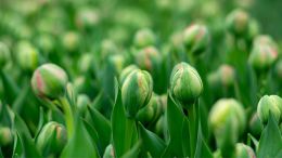 Online Study Group Meeting for Monday (11/20/2023)