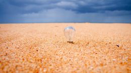 Student Q&A with Guy on "Go Beyond Painful Limitation to Realize Fearless Being" (6/30/21)