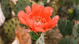 We Get Exactly What We Give