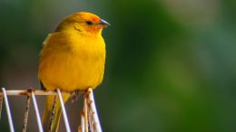 The Unthinkable Certainty of Negativity