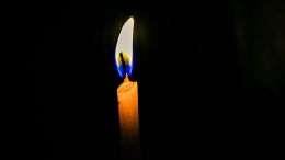 Bringing Yourself Back Into the Great and Unconditioned Now Where All Is One