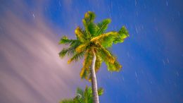 Online Study Group Meeting for Monday (3/28/2022)