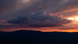 Online Study Group Meeting for Monday (12/11/2023)