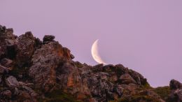 Student Q&A with Guy on "Go Beyond Painful Limitation to Realize Fearless Being" (6/30/21)