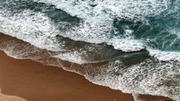 Keeping the Company of the Divine