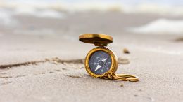 What Must We Do to Free Ourselves from Our Discontentment?