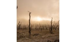 Exposed: The Evolution of Evil: Your Right to Live in the Light