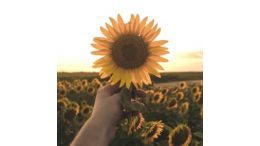 12 Steps to Spiritual Rebirth: Commentaries on the Beatitudes