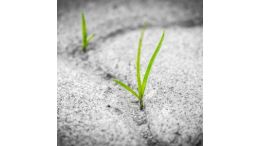 Harness the Secret Power of Conscious Persistence