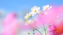 Online Study Group Meeting for Monday (6/5/2023)