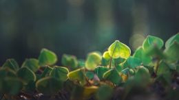 Student Q&A with Guy on "Go Beyond Painful Limitation to Realize Fearless Being" (6/30/21)