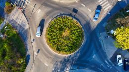 Lingering Pain and Trauma