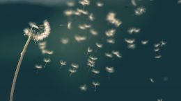 You Can't Know What You Need to Know Before It's Time