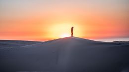 See What You Can Learn About Depression