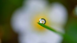 An Unbelievable Loss Can Also Be An Unbelievable Gain