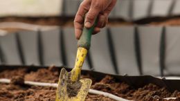 Stop Blaming and Start Digging