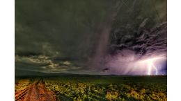 Discover the Truth About This Common Disturbance and Be Set Free