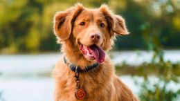 The Power to Put Painful Wants Behind You