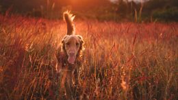 Online Study Group Meeting for Monday (6/28/2021)