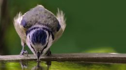 How to Have the Best of Both Worlds