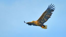 Find Your Way to a New Level of Being in Quiet Seeing