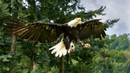 Student Talks on "Find the One True Answer to Any Painful Question" (7/2/21)