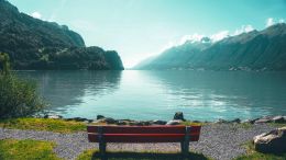 Student Q&A with Guy on "Go Beyond Painful Limitation to Realize Fearless Being" (6/30/21)